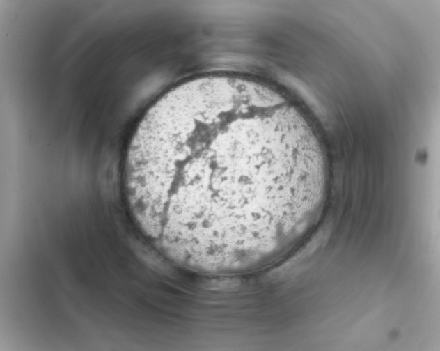 X0000103141403200809191954