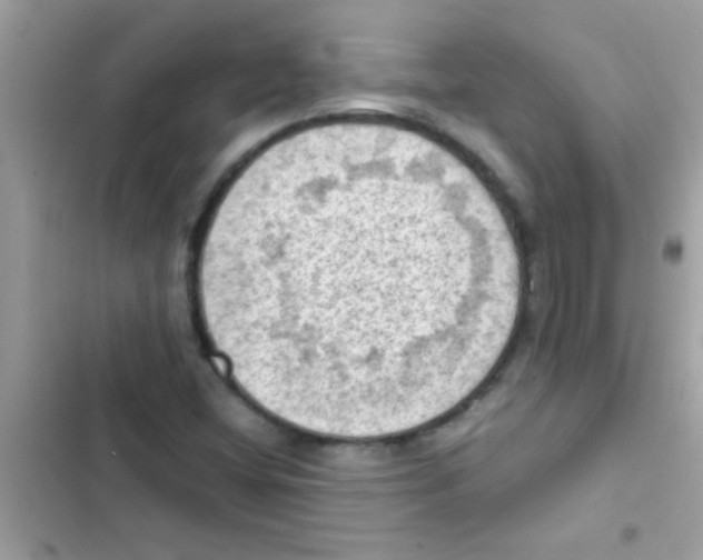 X0000103141404200809191954