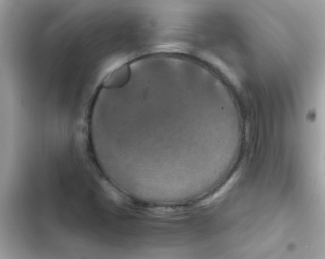 X0000103141405200809191954