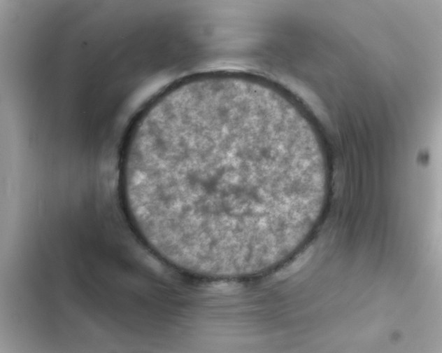 X0000103141406200809191954