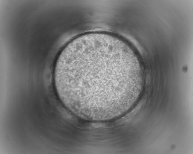 X0000103141407200809191954