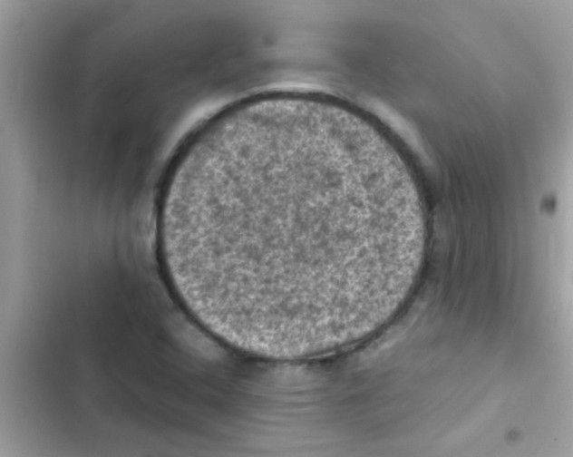 X0000103141408200809191954