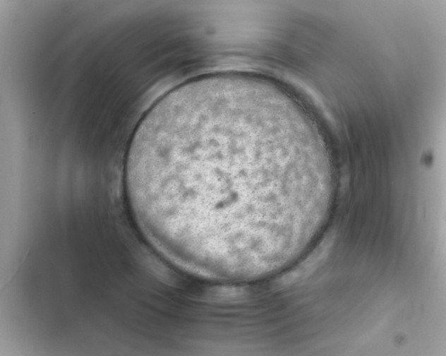 X0000103141409200809191954