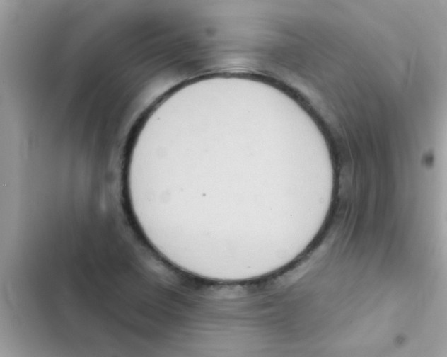 X0000103141410200809191954