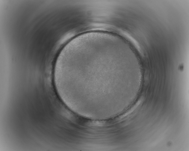 X0000103141411200809191954