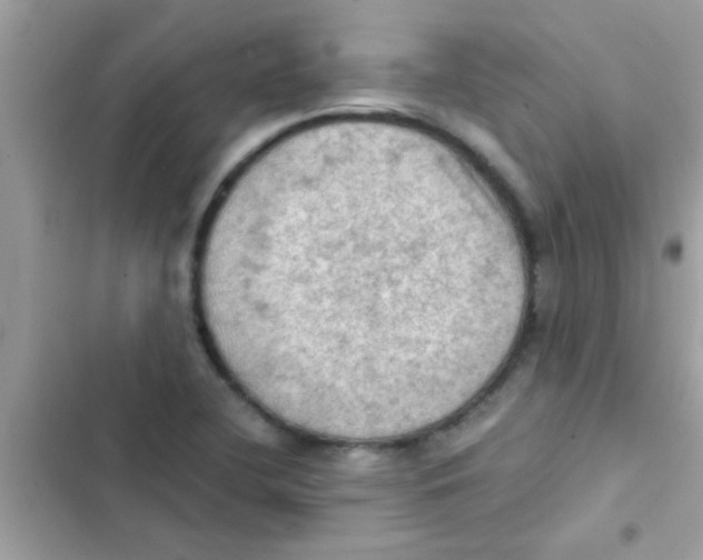 X0000103141412200809191954