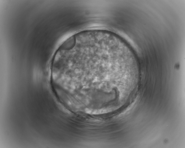 X0000103141413200809191954