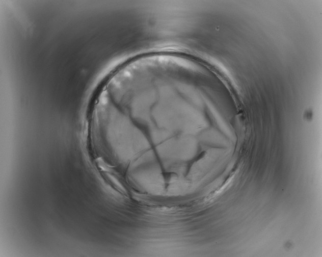 X0000103141414200809191954