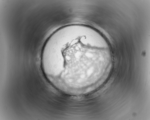 X0000103141415200809191954