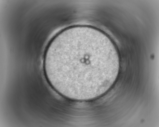 X0000103141416200809191954