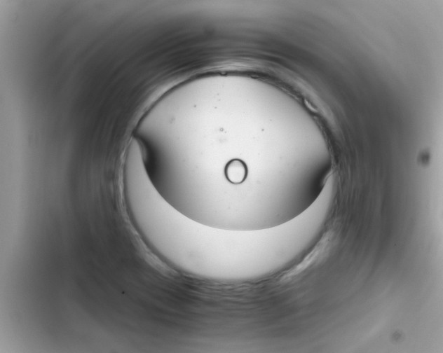 X0000103141417200809191954