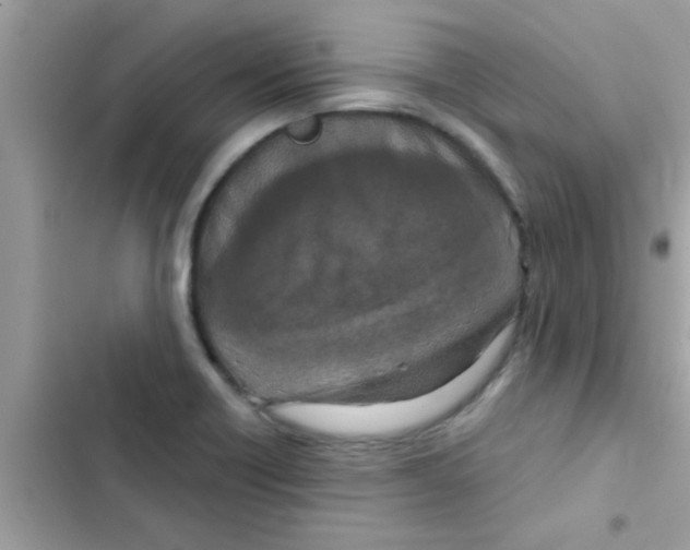 X0000103141418200809191954