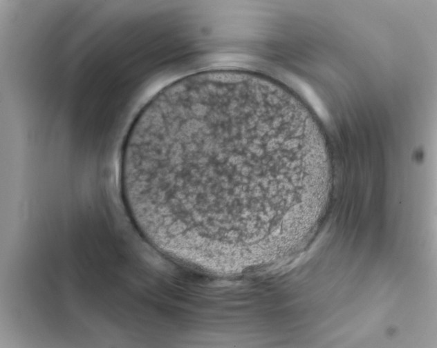 X0000103141419200809191954