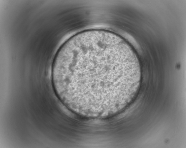 X0000103141420200809191954