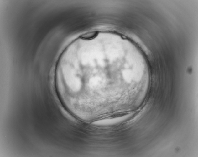 X0000103141421200809191954