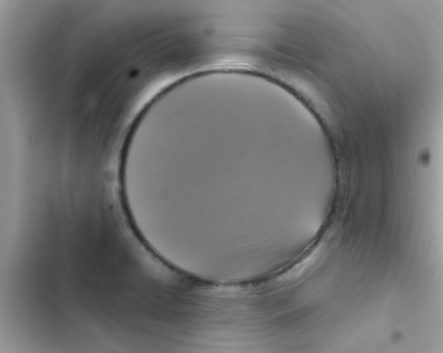 X0000103141422200809191954