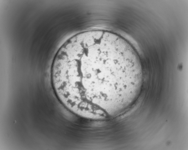 X0000103141423200809191954