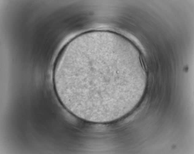 X0000103141424200809191954