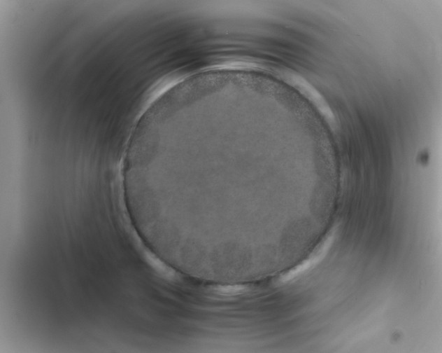 X0000103141425200809191954