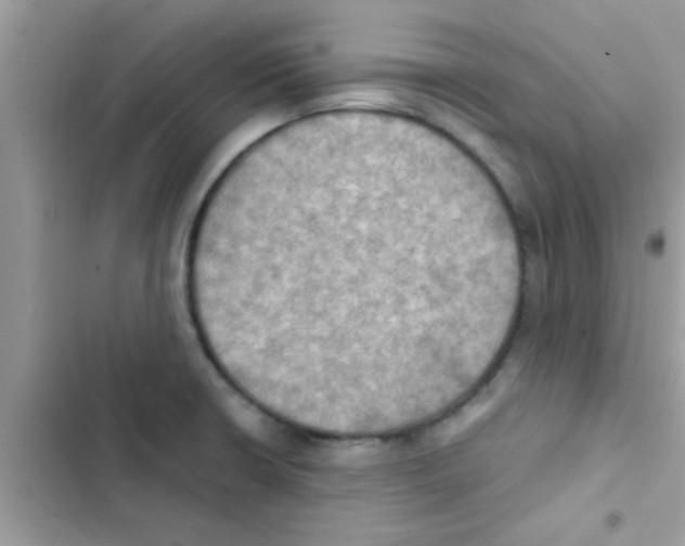 X0000103141426200809191954