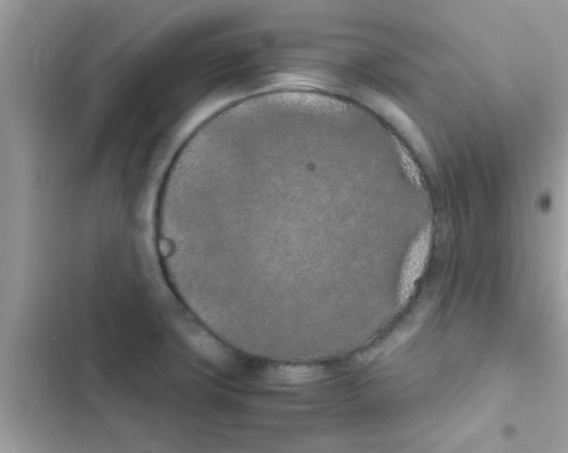 X0000103141427200809191954