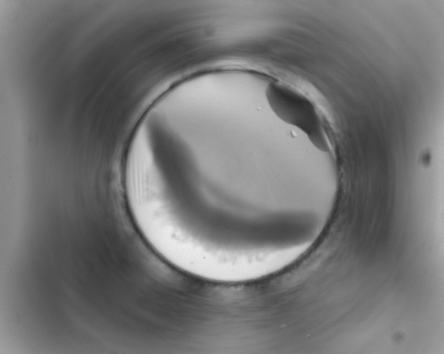 X0000103141428200809191954