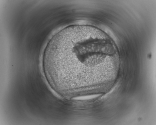 X0000103141429200809191954