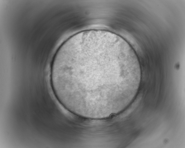 X0000103141430200809191954