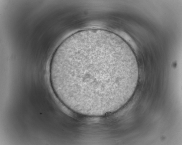 X0000103141431200809191954