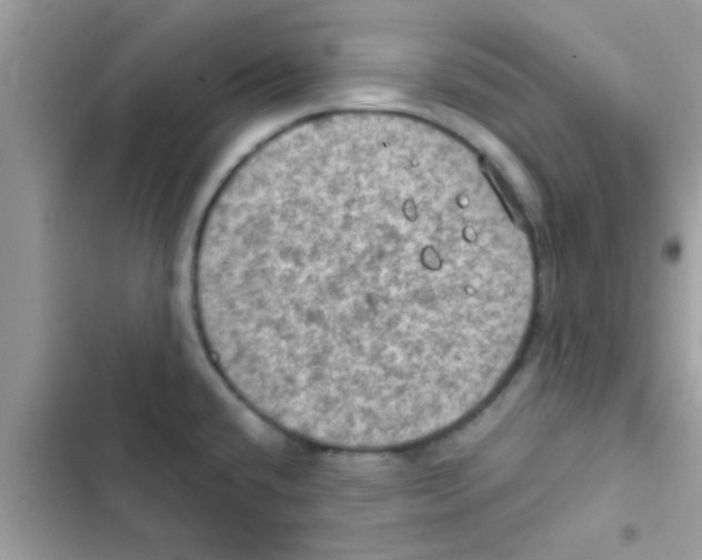 X0000103141432200809191954