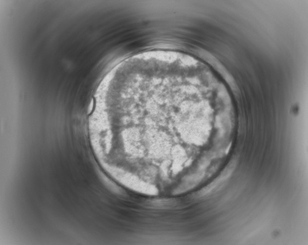 X0000103141433200809191954