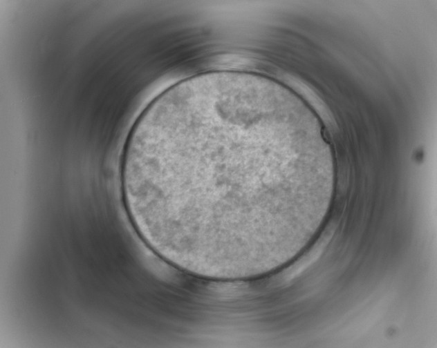 X0000103141434200809191954