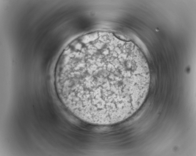 X0000103141435200809191954