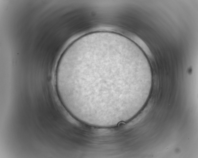 X0000103141436200809191954