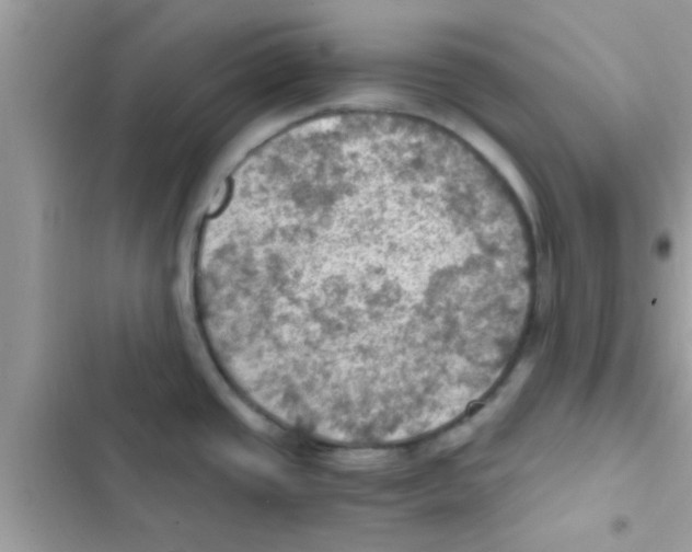 X0000103141437200809191954