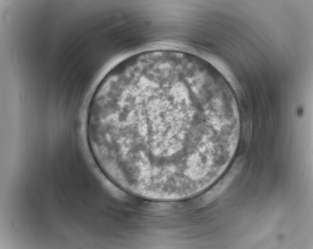 X0000103141438200809191954