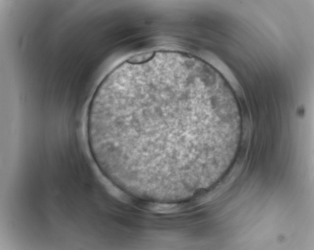 X0000103141439200809191954