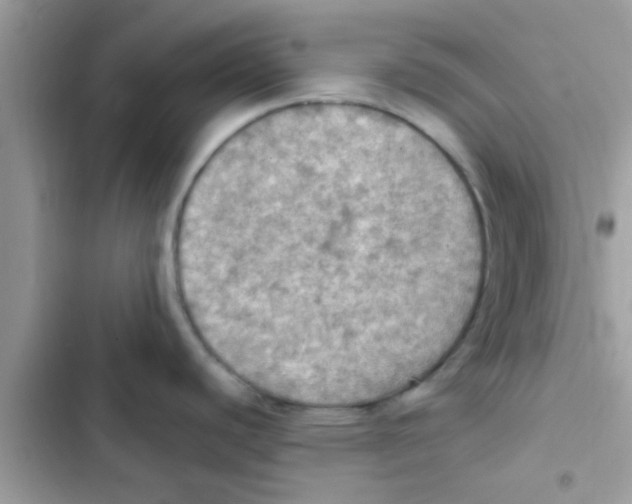 X0000103141440200809191954