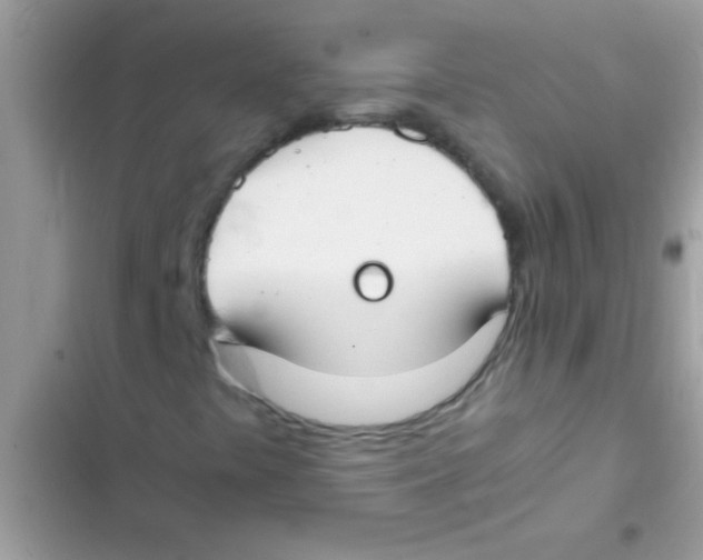 X0000103141441200809191953