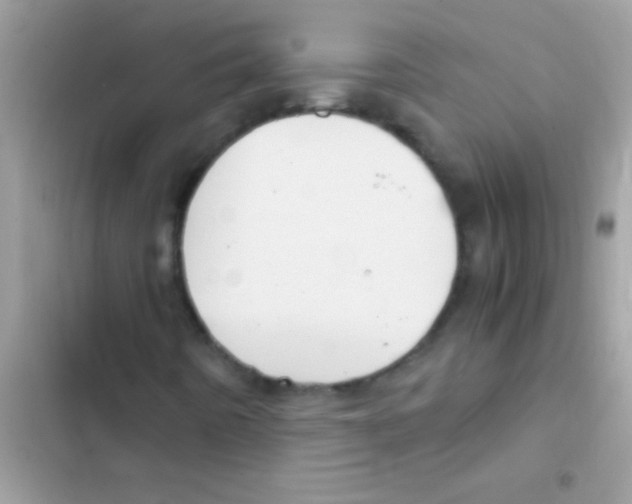 X0000103141442200809191953