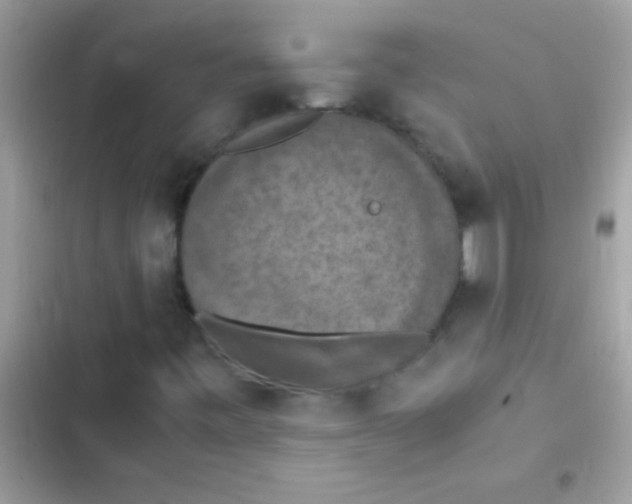 X0000103141443200809191953