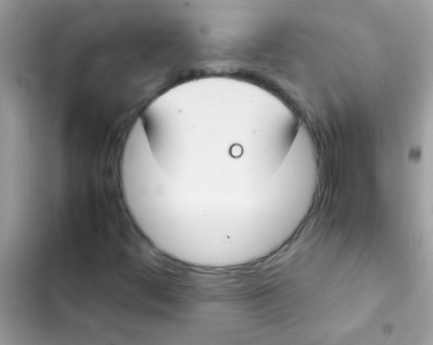 X0000103141444200809191953