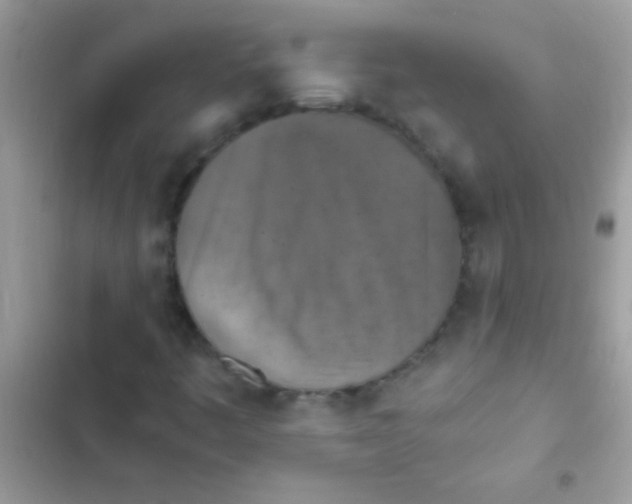 X0000103141445200809191953