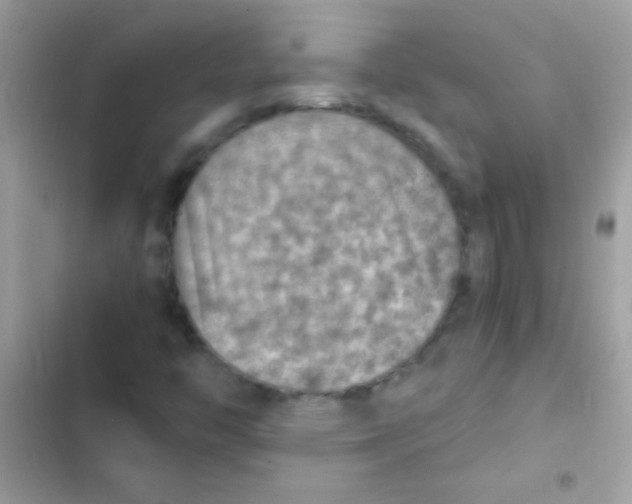 X0000103141446200809191953