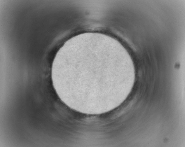 X0000103141447200809191953