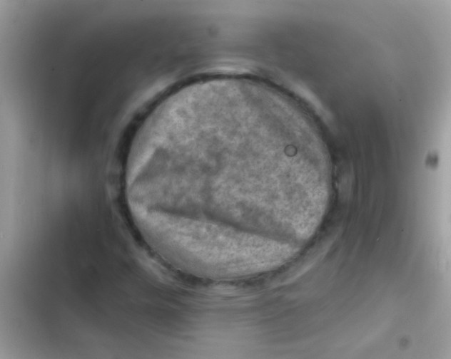 X0000103141448200809191953