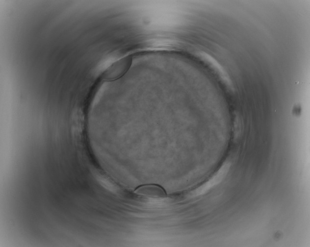 X0000103141449200809191953