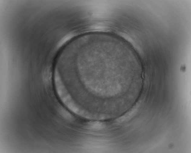 X0000103141450200809191953