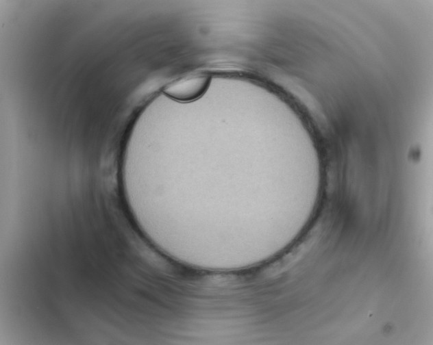 X0000103141451200809191953