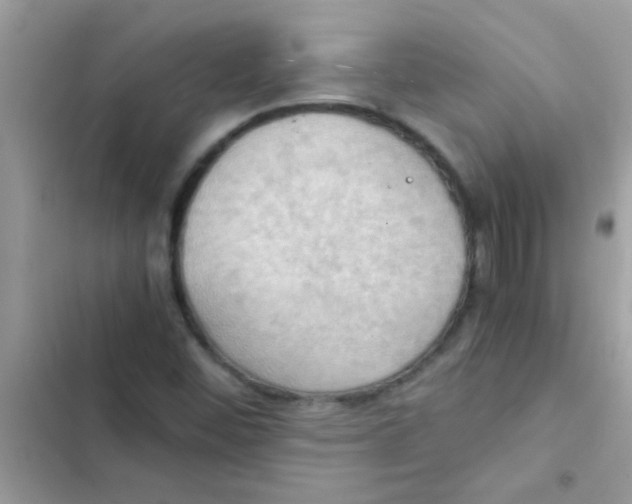 X0000103141452200809191953